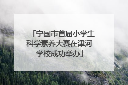 宁国市首届小学生科学素养大赛在津河学校成功举办