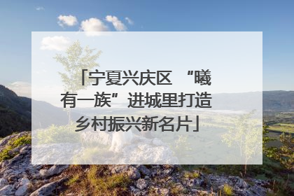 宁夏兴庆区 “曦有一族”进城里打造乡村振兴新名片