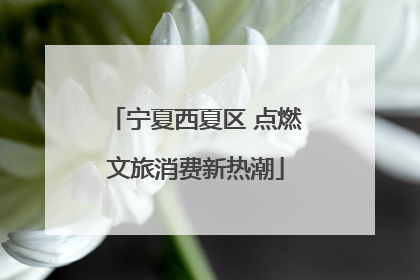 宁夏西夏区 点燃文旅消费新热潮