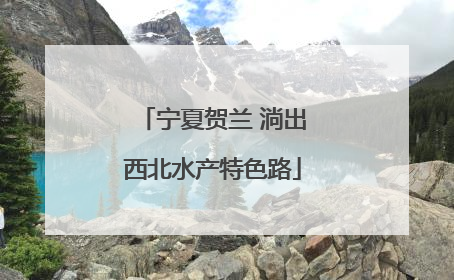 宁夏贺兰 淌出西北水产特色路