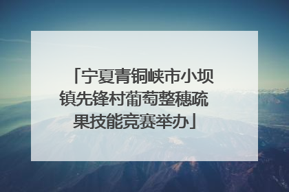 宁夏青铜峡市小坝镇先锋村葡萄整穗疏果技能竞赛举办
