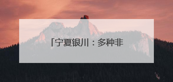 宁夏银川：多种非遗技艺引民众参观