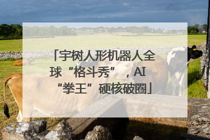 宇树人形机器人全球“格斗秀”，AI“拳王”硬核破圈