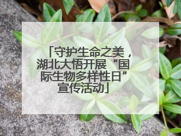 守护生命之美，湖北大悟开展“国际生物多样性日”宣传活动