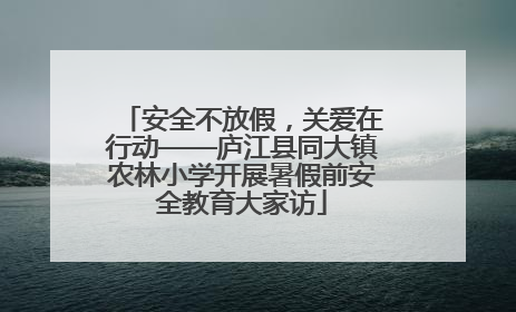 安全不放假，关爱在行动——庐江县同大镇农林小学开展暑假前安全教育大家访