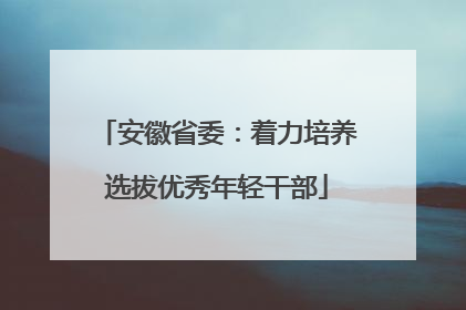 安徽省委：着力培养选拔优秀年轻干部
