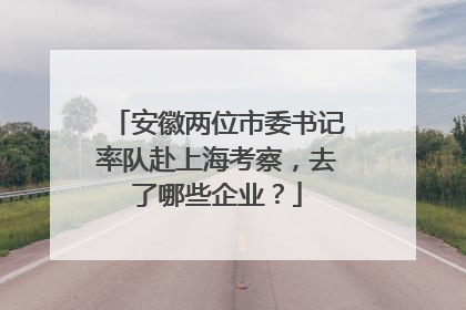 安徽两位市委书记率队赴上海考察，去了哪些企业？