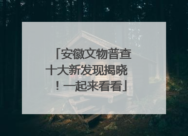 安徽文物普查十大新发现揭晓！一起来看看
