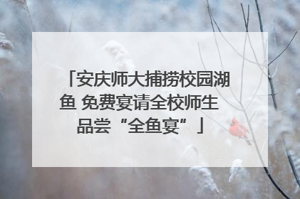 安庆师大捕捞校园湖鱼 免费宴请全校师生品尝“全鱼宴”