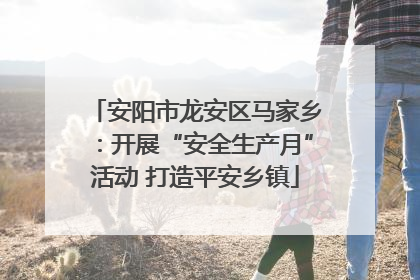 安阳市龙安区马家乡：开展“安全生产月”活动 打造平安乡镇