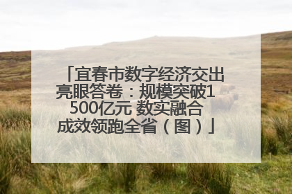 宜春市数字经济交出亮眼答卷：规模突破1500亿元 数实融合成效领跑全省（图）