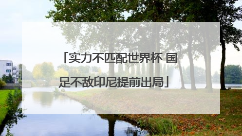 实力不匹配世界杯 国足不敌印尼提前出局