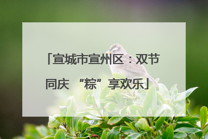 宣城市宣州区：双节同庆 “粽”享欢乐