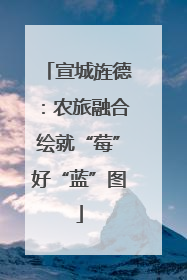 宣城旌德：农旅融合绘就“莓”好“蓝”图
