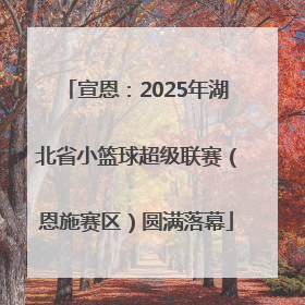 宣恩：2025年湖北省小篮球超级联赛（恩施赛区）圆满落幕