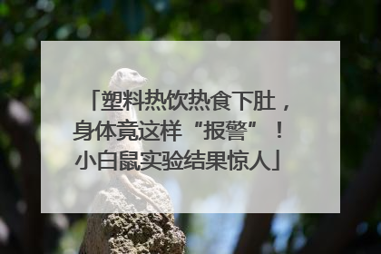 塑料热饮热食下肚，身体竟这样“报警”！小白鼠实验结果惊人