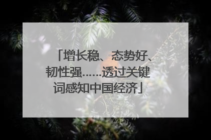 增长稳、态势好、韧性强……透过关键词感知中国经济