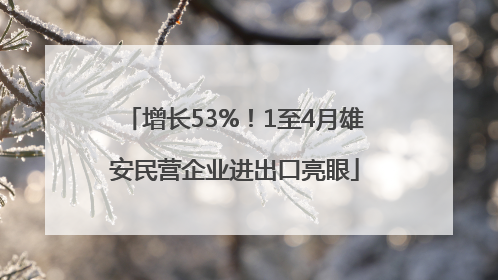 增长53%！1至4月雄安民营企业进出口亮眼