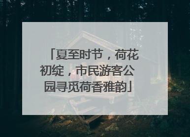 夏至时节，荷花初绽，市民游客公园寻觅荷香雅韵