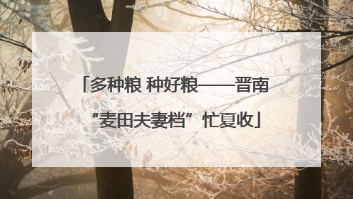 多种粮 种好粮——晋南“麦田夫妻档”忙夏收