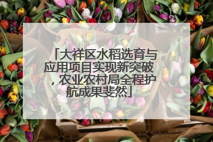 大祥区水稻选育与应用项目实现新突破，农业农村局全程护航成果斐然