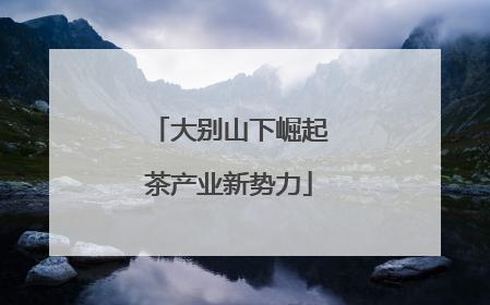 大别山下崛起茶产业新势力