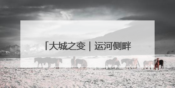 大城之变｜运河侧畔 千年文脉珍珠闪耀