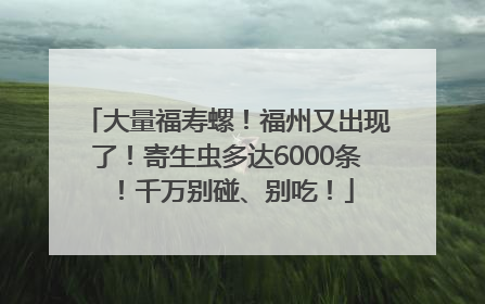 大量福寿螺！福州又出现了！寄生虫多达6000条！千万别碰、别吃！