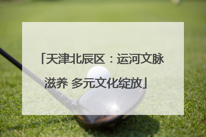 天津北辰区：运河文脉滋养 多元文化绽放