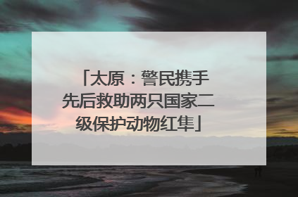 太原：警民携手 先后救助两只国家二级保护动物红隼