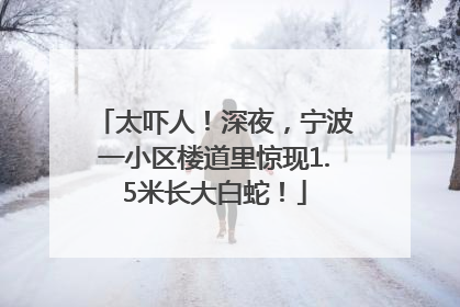 太吓人！深夜，宁波一小区楼道里惊现1.5米长大白蛇！