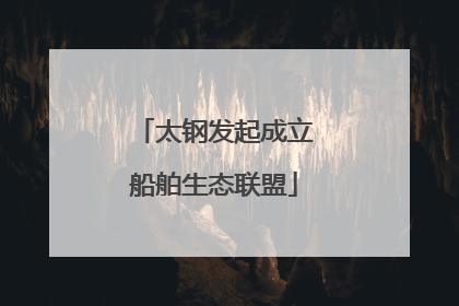 太钢发起成立船舶生态联盟