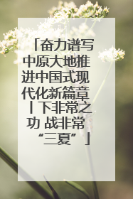 奋力谱写中原大地推进中国式现代化新篇章丨下非常之功 战非常“三夏”