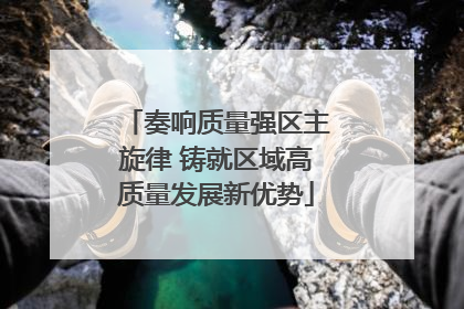 奏响质量强区主旋律 铸就区域高质量发展新优势