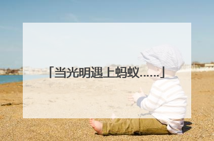 当光明遇上蚂蚁……