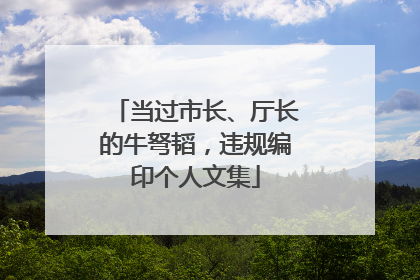 当过市长、厅长的牛弩韬，违规编印个人文集