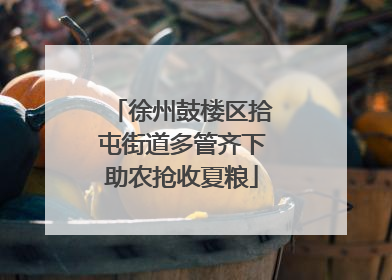 徐州鼓楼区拾屯街道多管齐下助农抢收夏粮