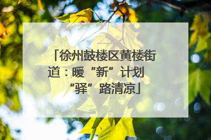 徐州鼓楼区黄楼街道：暖“新”计划 “驿”路清凉