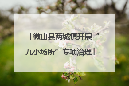 微山县两城镇开展“九小场所”专项治理