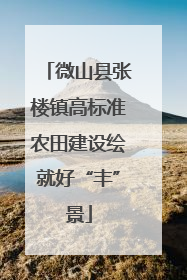 微山县张楼镇高标准农田建设绘就好“丰”景