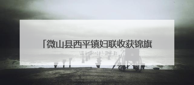 微山县西平镇妇联收获锦旗 “两癌”保险理赔解民忧