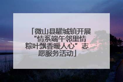 微山县驩城镇开展“情系端午邻里情 粽叶飘香暖人心”志愿服务活动