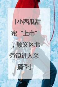 小西瓜甜蜜“上市”，顺义区北务镇进入采摘季