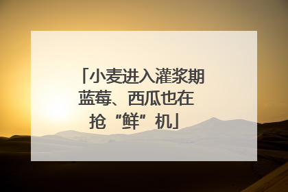 小麦进入灌浆期 蓝莓、西瓜也在抢“鲜”机