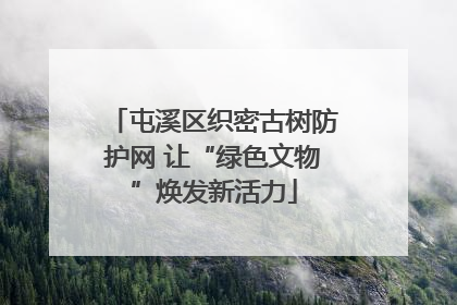 屯溪区织密古树防护网 让“绿色文物”焕发新活力