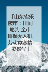 山东省乐陵市：田间地头 全市植保无人机劳动竞赛精彩纷呈