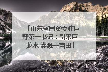 山东省国资委驻巨野第一书记：引来巨龙水 灌溉千亩田
