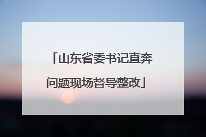 山东省委书记直奔问题现场督导整改