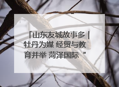 山东友城故事多｜牡丹为媒 经贸与教育并举 菏泽国际“朋友圈”扩容升级
