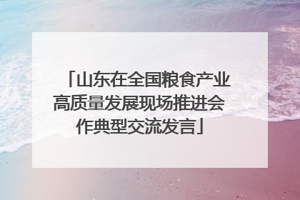 山东在全国粮食产业高质量发展现场推进会作典型交流发言